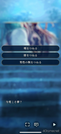 ꡼ No.004Υͥ / Υץ쥤ݡϥ꡼ǿʤ ζܤοҡסȬդȤδطŤź̤ʻ֤θ