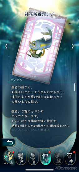 ꡼ No.024Υͥ / Υץ쥤ݡϥ꡼ǿʤ ζܤοҡסȬդȤδطŤź̤ʻ֤θ