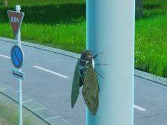 �ץ쥤�䡼�ϥ��ߡ��ļˤβƤ�����˥��ߤΰ����������֥��ߤ����Ϥɤ������뤫�ס�9��30����Steam�ǥ�꡼��