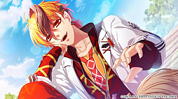 Glass Heart Princess for Nintendo Switch