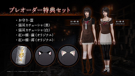 ꡼ No.039Υͥ / ۥ顼Ȥĳ REMAKEפϡ2026ǯ312ȯ䡣ȯTeam NINJAôΥ󤬳ڤ