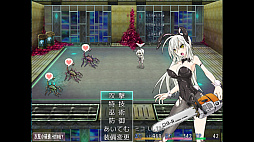 ꡼ No.001 | TAIMA MIKO