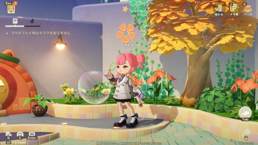 ꡼ No.012Υͥ / Υץ쥤ݡޤ뤴ȥʥ롪 HoYoverseο饤ե֥ץץͥåȡצ¥ƥȤ˻äƤߤ