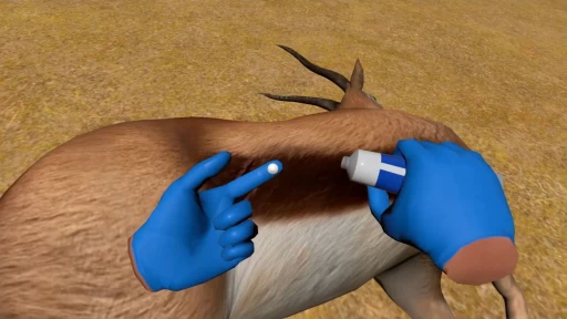 ꡼ No.007Υͥ / ĤưʪŤVRWILDLIFE DOCTORפǥץ쥤ȴ¥פߺTGS2025