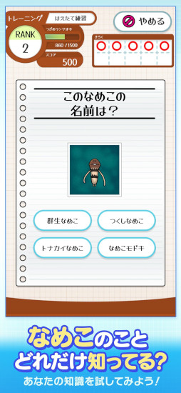 画像ギャラリー No.006のサムネイル画像 / クイズゲーム「なめこドリル」,本日リリース。「なめこ栽培キット」シリーズに登場する,なめこたちに関する問題を解こう