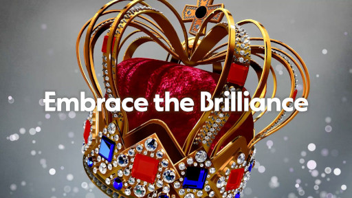 ꡼ No.014Υͥ / Хåƥ󥰥Embrace the BrillianceסSteamǥ꡼ץʥ󥰤񸷤ʲޤǡХ饨ƥ˭ʤ