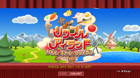 ꡼ No.004Υͥ / 16ͤǶϲǽʥå󥰥֥åץ륢 ȥΥ쥹ȥסPC/Switch2Ǥ꡼