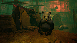 ꡼ No.003 | Zoochosis