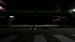 ǰƻ-The Crosswalk Anomaly