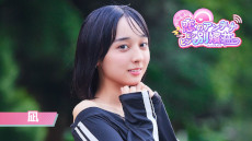 ꡼ No.008Υͥ / ¼̱ҴΥƥ ӥӥסθǤSteamǥ꡼ƥīAimingƱ