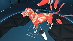 Animal Anatomy VR