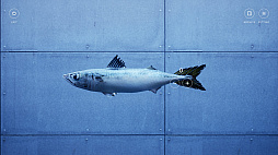 ꡼ No.001 | OKAZU ο륲