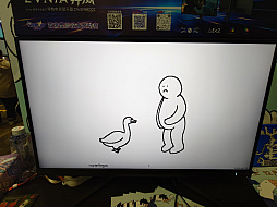 ꡼ No.016Υͥ / ̯ʤΤˡʤ뤤ȥꥢΤäѤ֥֥ƥ󥰥סWePlay2025