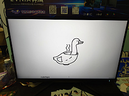 ꡼ No.017Υͥ / ̯ʤΤˡʤ뤤ȥꥢΤäѤ֥֥ƥ󥰥סWePlay2025