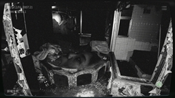 画像ギャラリー No.010のサムネイル画像 / 「日本事故物件監視協会2 -Japan Stigmatized Property-」,Steamストアページを公開。発生する異常を正しく報告する監視業務に従事する