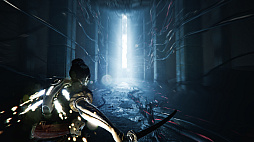 ꡼ No.005 | SOL Shogunate