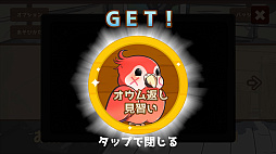 うちのオウムは変わり者