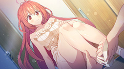 ꡼ No.014 | ֥꡼  Break out of my shellס2026ǯ49ȯꡣ⥪ե꡼25ǯǰʤΥեǥ