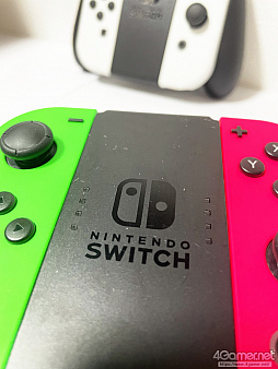 ȯNintendo SwitchͭELǥˡפ ΤλͤϽǥȲ㤦Τ̿ưӤƤߤ