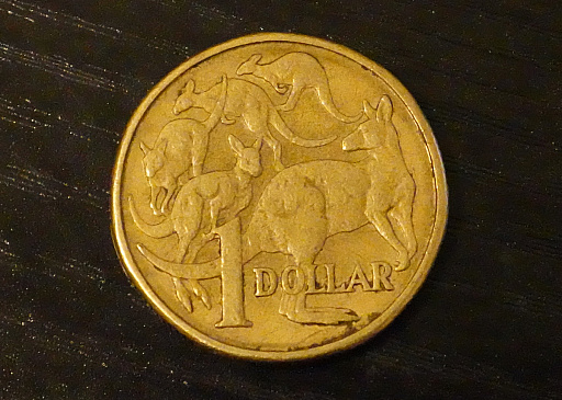 ꡼ No.004Υͥ / ȥꥢں߼ԤɡNintendo Switch 2פϤäƤߤܤȤΰ㤤Ϥɤʴȥ⤤&#x1f428;&#x1f428;