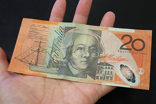 ꡼ No.005Υͥ / ȥꥢں߼ԤɡNintendo Switch 2פϤäƤߤܤȤΰ㤤Ϥɤʴȥ⤤&#x1f428;&#x1f428;