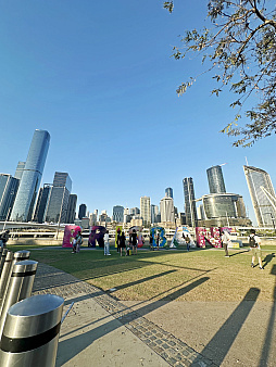 ꡼ No.006Υͥ / ȥꥢں߼ԤɡNintendo Switch 2פϤäƤߤܤȤΰ㤤Ϥɤʴȥ⤤&#x1f428;&#x1f428;