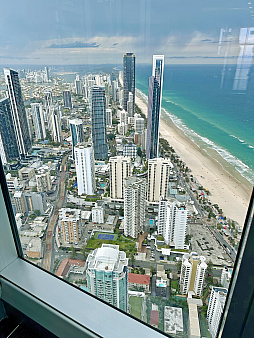 ꡼ No.007Υͥ / ȥꥢں߼ԤɡNintendo Switch 2פϤäƤߤܤȤΰ㤤Ϥɤʴȥ⤤&#x1f428;&#x1f428;