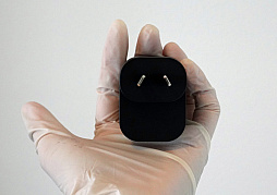 ꡼ No.029Υͥ / ȥꥢں߼ԤɡNintendo Switch 2פϤäƤߤܤȤΰ㤤Ϥɤʴȥ⤤&#x1f428;&#x1f428;