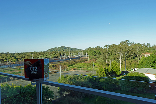 ꡼ No.039Υͥ / ȥꥢں߼ԤɡNintendo Switch 2פϤäƤߤܤȤΰ㤤Ϥɤʴȥ⤤&#x1f428;&#x1f428;