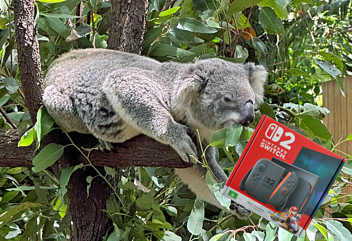 ꡼ No.040Υͥ / ȥꥢں߼ԤɡNintendo Switch 2פϤäƤߤܤȤΰ㤤Ϥɤʴȥ⤤&#x1f428;&#x1f428;