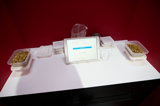 ꡼ No.006Υͥ / ֶʼϥХդˤʤ׶Ķ󥵥륿ȤΥ⥢Ÿȥѥեޥ󥹤δط֡θTGS2025