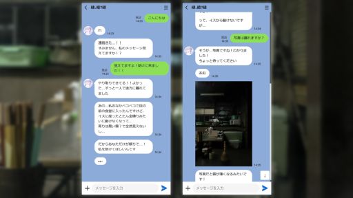 ꡼ No.003 | ѡȤǼ͸ȤȤ꤬Ǥ뾯̡ͩס1219ȯοޤ󤬻֥㤪פ1äǺ