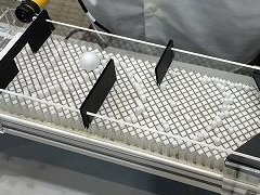 ֥ǥ󶵰ΤΥפˡܤڤΥʥŪˡʤɡ̣ŸοCEDEC 2025