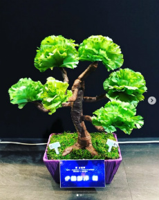 ���������꡼ No.017�Υ���ͥ������ / �Υ��󥿥ӥ塼�ϡȥե饹���ɤϤ����ޤǿʲ������䤷���٥�Ȥ�̤�ǿ���Ф����������΢��ʹ��