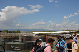 ꡼ No.005Υͥ / ǹǯ94С ǳŤ줿ԸGeeSPORTSפϡ줫Υޡ𲽤μˤʤ뤫