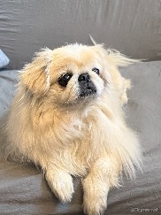 ���������꡼ No.009�Υ���ͥ������ / �Υ��󥿥ӥ塼�ϡ֥ϥ����塼!!�ס֥ҥ������׷�ȼ��ȡ��Ӥ椦���᤬��롪��̾�������̤벻�ڤȡֵ�ȼ�ספؤ��ۤ�