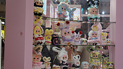 ���������꡼ No.026�Υ���ͥ������ / ���Υ����ॷ�祦��ChinaJoy 2025�׳��롪 ���٥�ȵ��Ϥη�Ĵ�ʳ���ˤ���TGS���渪�ɡ����ƤΥ��ĥ��ľ峤��740�Ұʾ��Ÿ��CJ2025��