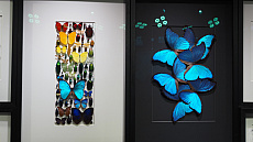 ���������꡼ No.032�Υ���ͥ������ / ���Υ����ॷ�祦��ChinaJoy 2025�׳��롪 ���٥�ȵ��Ϥη�Ĵ�ʳ���ˤ���TGS���渪�ɡ����ƤΥ��ĥ��ľ峤��740�Ұʾ��Ÿ��CJ2025��