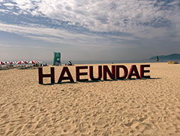 ꡼ No.003Υͥ / Υ󥿥ӥ塼ǭϡƥ󡣸SIEĽʿ᤬BICǸڹ񥤥ǥθϡ֤⤦23ǯɥȤ⡩