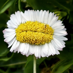 画像ギャラリー No.002のサムネイル画像 / 「行方不明展」を手掛けたメンバーが再び集結した展覧会「恐怖心展」,7月18日から開催決定。本日チケット販売がスタート