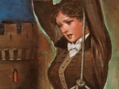 ͶξΤɱͤߤФ꥿˥󡦥ޥ󥹤˲֥롼δסʥޡΤΥ֥åɡ39