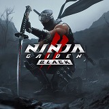 ���������꡼ No.004�Υ���ͥ������ / ����ֿ�����Ԣ̵�� ORIGINS�ס�NINJA GAIDEN 2 Black�פ��饻���롪 ���������ƥ��⥲���ॹ�Ρ�Spring Sale 2025�ɤ��ƥ��ȥ��ǳ�����