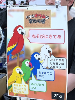 ꡼ No.026Υͥ / ǥŸ󥸥8ץݡȡԡˡ8ܤΥ󥸥ǤϡѤΤĤʤᡪ