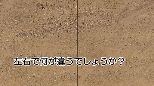 ���������꡼ No.007�Υ���ͥ������ / ��CEDEC 2015�ϥƥ�������κ�Ŭ�ʼ��򥽥եȤ�ʬ�ϡ� �֥����ġ��ꥹ��פΥݥ�ե��ˡ����ǥ����뤬��������ʬ�ϥġ���ΰ��ϤȤ�