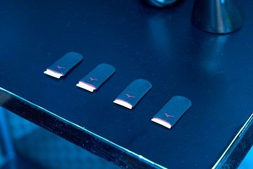 ꡼ No.008Υͥ / ߥΤeݡĥܳʻޤϥС쥹䥲ߥ󥰥ʤɤ򻲹ͽŸSF6ȤΥܤȯɽTGS2025