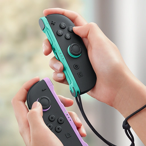 ���������꡼ No.001�Υ���ͥ������ / ��Joy-Con 2�פ˿�����(L) �饤�ȥѡ��ץ�/(R) �饤�ȥ��꡼��פ��о졣2026ǯ2��12����ȯ��