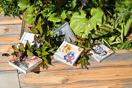 ���������꡼ No.005�Υ���ͥ������ / �ɥꥭ�㥹�ǽв�ä������ä��ҤȤ�ο�ͧ�ء����֤ʤ��ǥ��������뤰�벹�����餤�ʤ��ʤä����ޤ��Ϻ����ɤ��ˤ��롩��