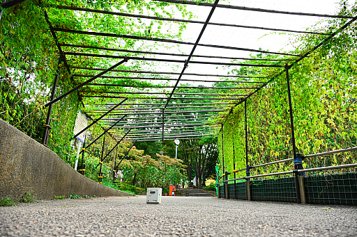 ���������꡼ No.018�Υ���ͥ������ / �ɥꥭ�㥹�ǽв�ä������ä��ҤȤ�ο�ͧ�ء����֤ʤ��ǥ��������뤰�벹�����餤�ʤ��ʤä����ޤ��Ϻ����ɤ��ˤ��롩��