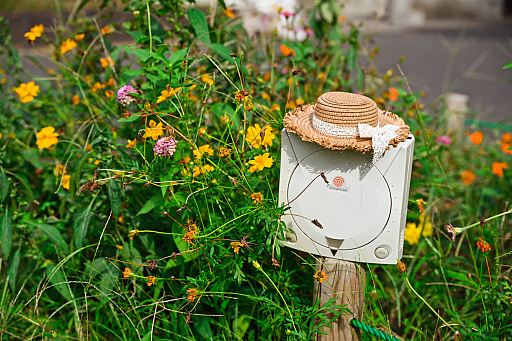 ���������꡼ No.020�Υ���ͥ������ / �ɥꥭ�㥹�ǽв�ä������ä��ҤȤ�ο�ͧ�ء����֤ʤ��ǥ��������뤰�벹�����餤�ʤ��ʤä����ޤ��Ϻ����ɤ��ˤ��롩��