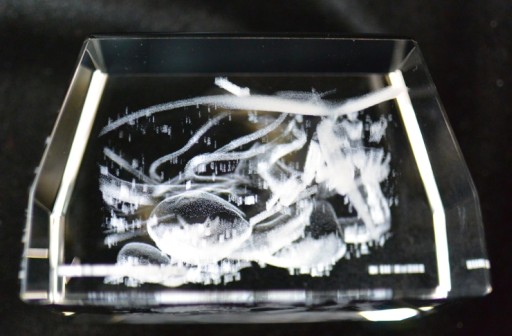 画像ギャラリー No.006のサムネイル画像 / 「シドニアの騎士」クラウドファンディングで3Dクリスタルアートの申込受付開始